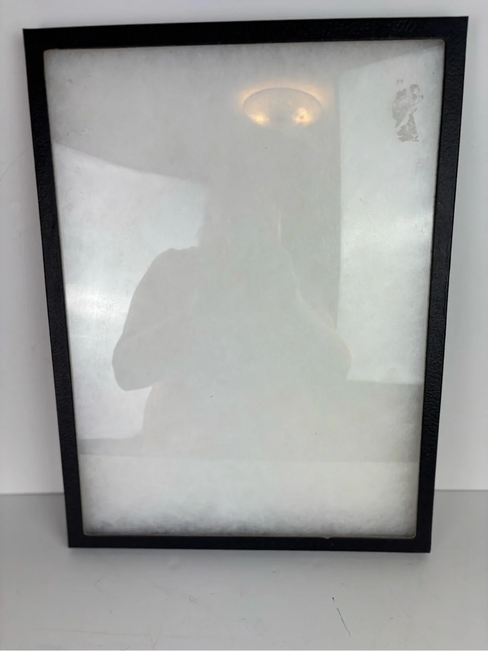 Riker Mount Display Case/Shadow Box/Frame Tray